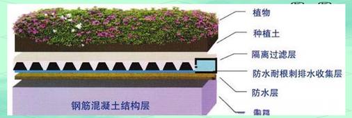 雨水收集虹吸排水系统在城市种植屋面的应用与优势